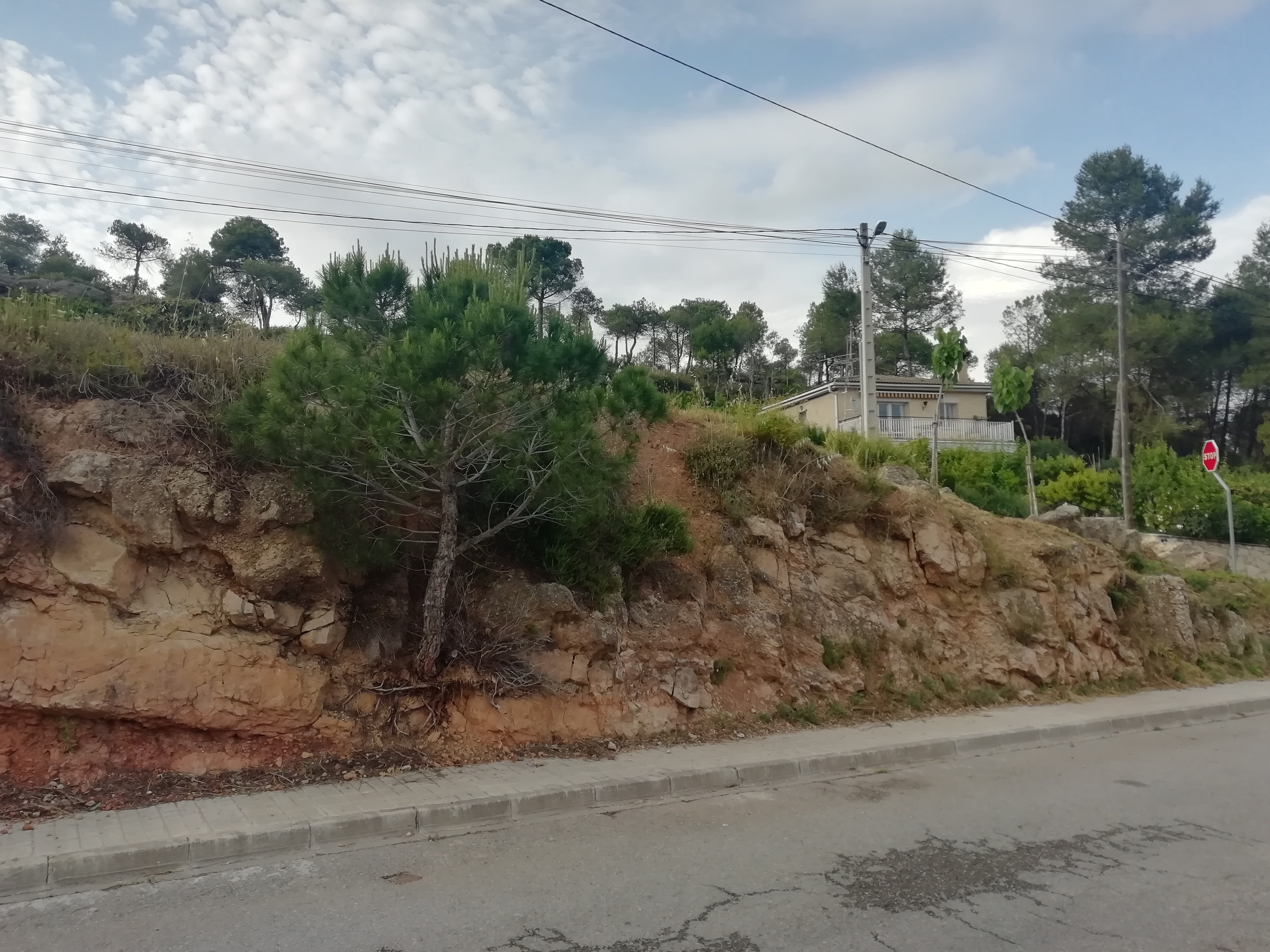 Imatge pels mitjans: Arreglar l'espai verd de les Garriges