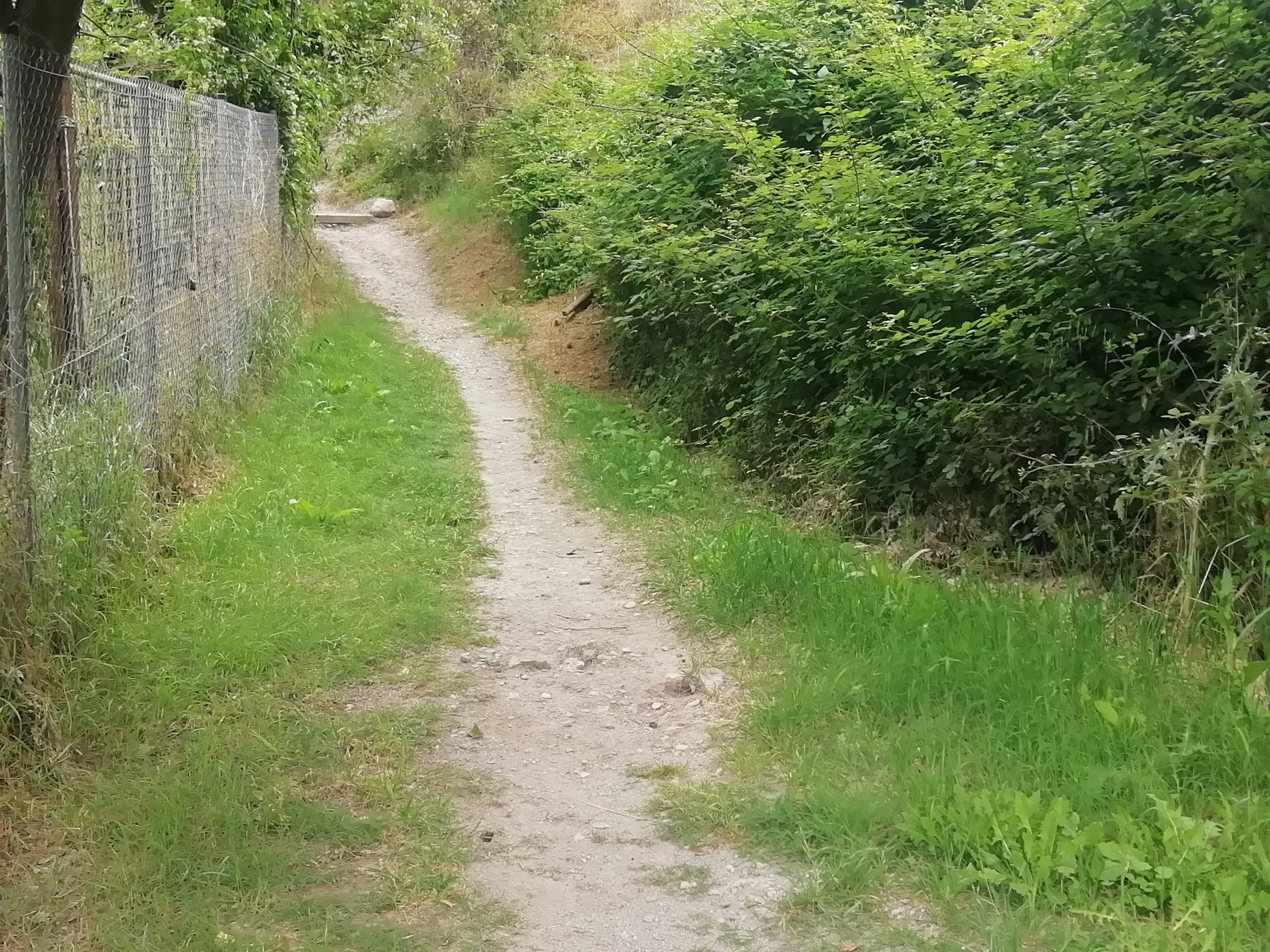 Imatge pels mitjans: Netejar i il·luminar el camí que porta a l'estació de tren