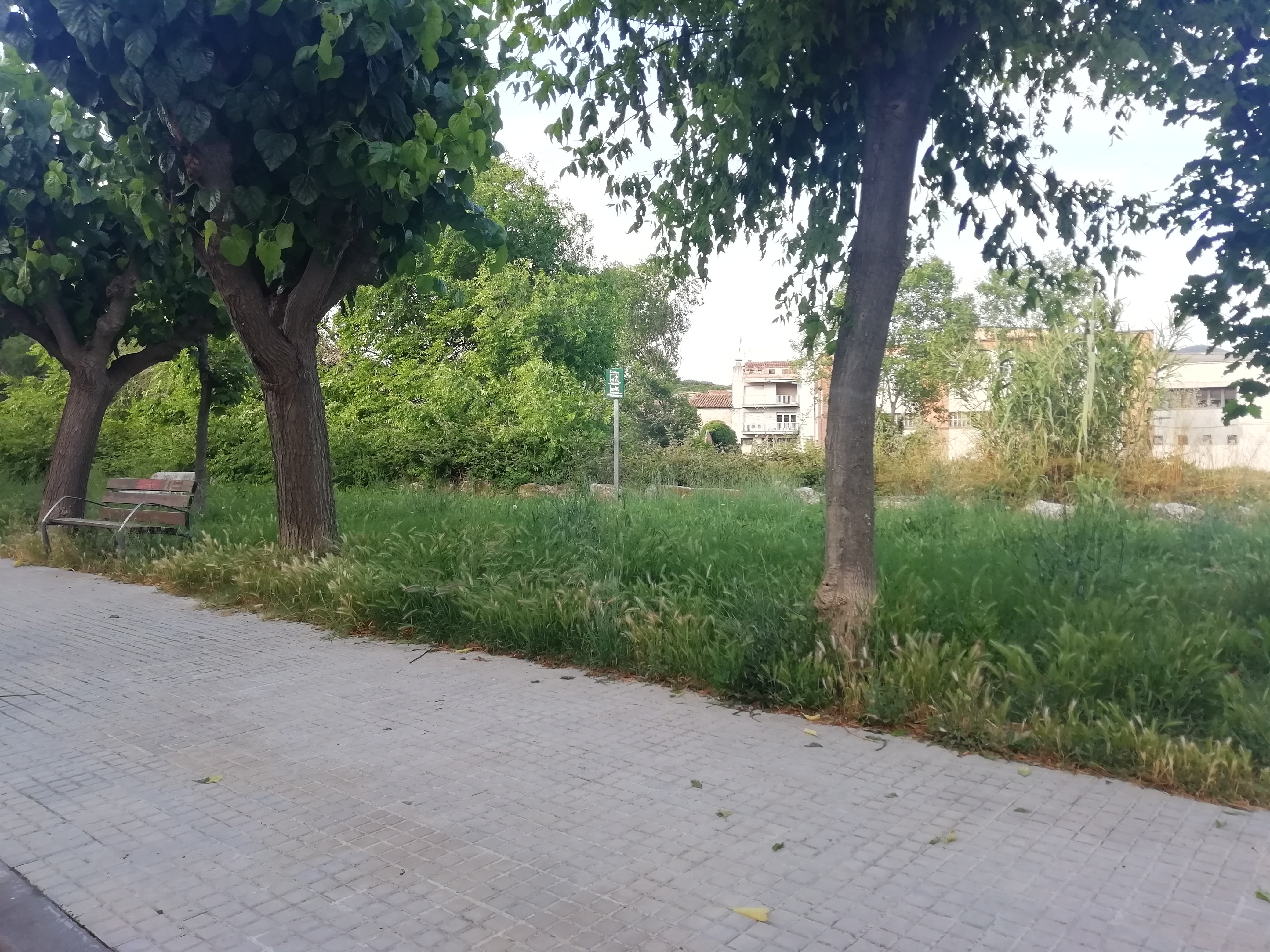 Imatge pels mitjans: Parc per gossos